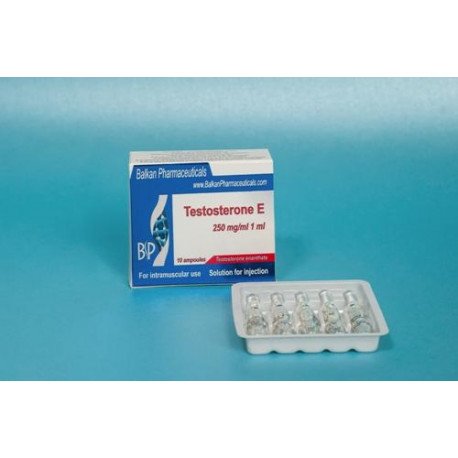 Testosterona E | Pharma Testosterone Enanthate | 250 mg ampoules